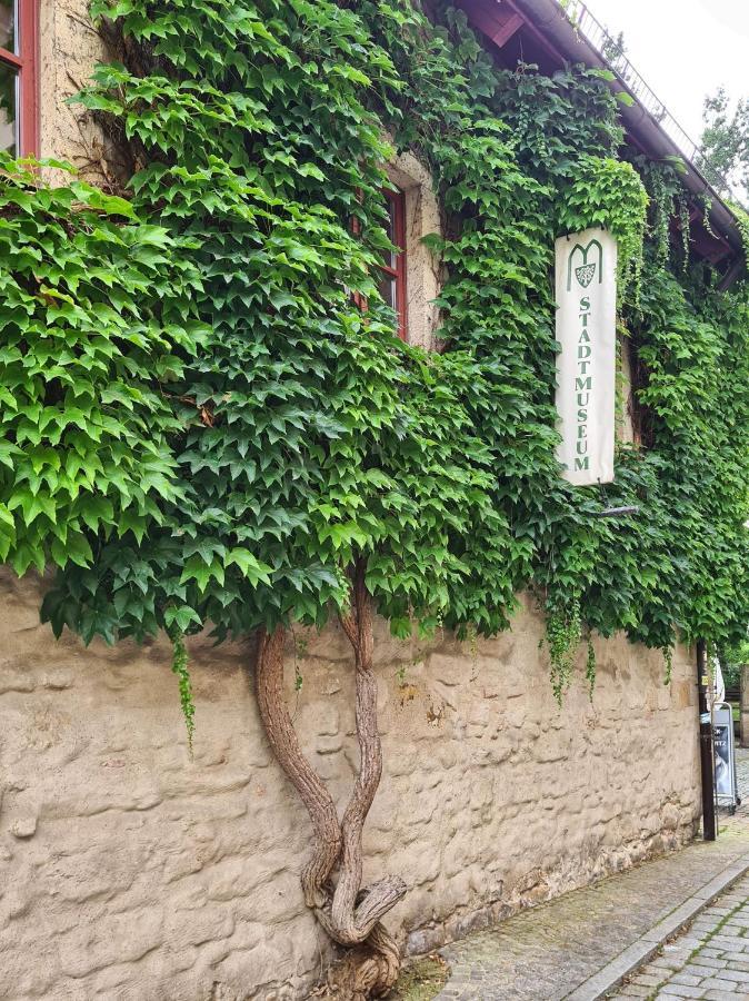 Apartment Altstadt Domizil
